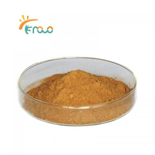  Factory Direct Sale Folium Mori Powder Mulberry Leaf Extract Folium Mori Extract fornecedores