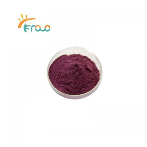  Beet Root Powder fornecedores