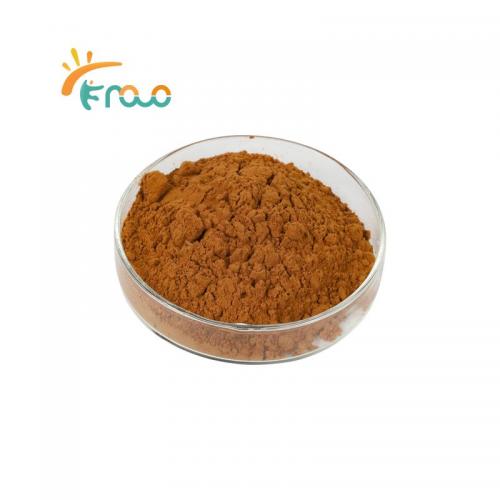  Lion's Mane Mushroom Extract Powder fornecedores