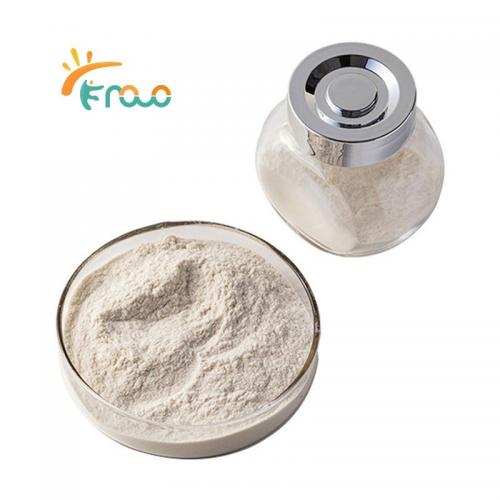 High Density Chitosan Powder fornecedores