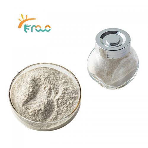  Industrial Grade Chitosan Powder fornecedores