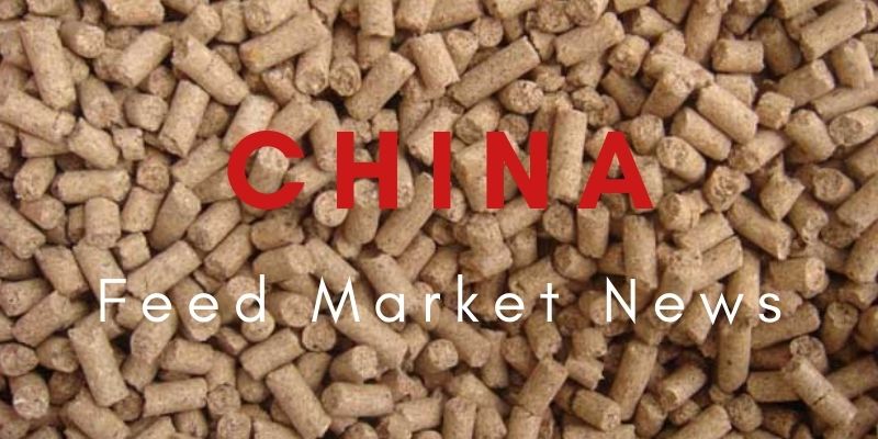 China Feed Maket News - Análise do mercado de exportação de lisina em setembro de 2021